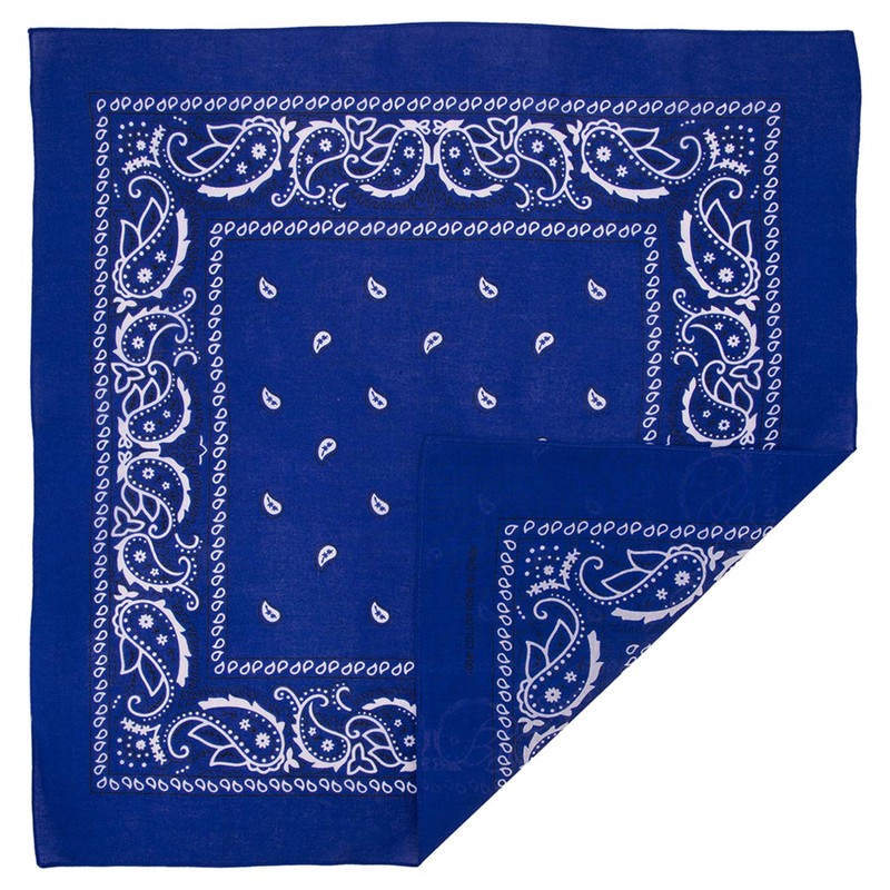 Bandanas grandes 100% algodón Paisley (22 x 22 pulgadas), Azul