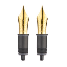 Asvine - Set of 2 8 Replacement Nibs, Compatible with All 8 Nib Fountain Pens (C2000 and C80), Gold