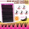 WLFRHD Eyelash Extensions, 320 Pieces, Cluster Lashes, 60D DIY Eyelash