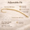 Cwyza Gold Cat Chain Collar with Removable Bell