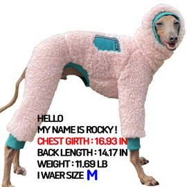 D Doggy Star Italian Greyhound Sweater Turtleneck Outfit Warm Fleece Onesie Clothes Whippet for Dog Coat (S,Green Pkt)
