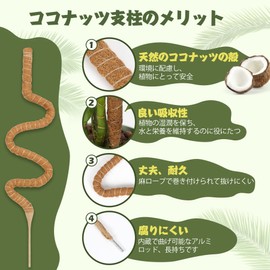 T4U Gardening Stanch, 25.2 inches (64 cm), Monstera Stanch, Coconut Stanch, House Plant, Vine Plant, Gardening Stanch, Maintains Moisture, Nutrients Maintenance, For Agriculture, Gardening, Set of 2