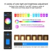 Smart Night Light APP Voice Control Rechargeable Timer WiFi Bluetooth