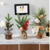 Imported Christmas Tabletop Mini Tree Decoration Free Size/Red Berries 10ea
