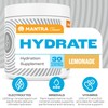 Zahler Mantra Game-Changing, Great-Tasting, Sugar-Free Hydration Supplement, Lemonade Flavor, 30