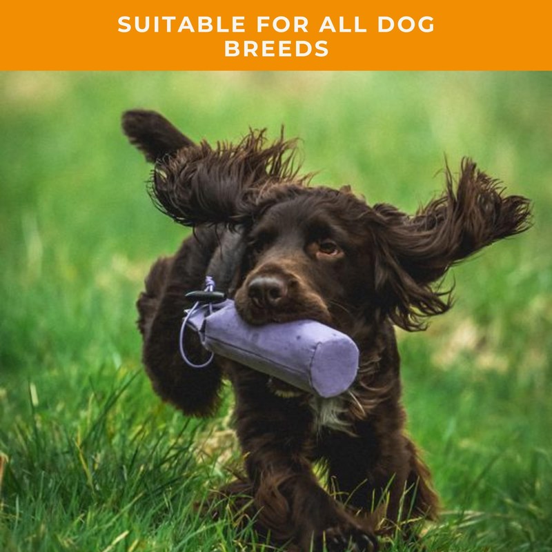 Dog & Field 1/2lb Dog Training Dummies - Orange. Canvas