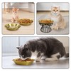 Fhiny 3Pcak Basic Cat Bowls, Stainless Steel Cat Dish Gold