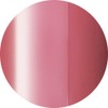 ageha Cosmetics Color 146 Smoke Red Gel Nail Supplies