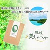 Pure Domestic 100% Natural Ryukyu Misa Henna Gray Hair Dyed