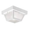 Design House 501858 Traditional 2-Light Outdoor/Indoor Ceiling Light Dimmable with
