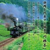 Kawane Tea/Shizuoka Prefecture Tea Gift Assortment Asagiri Sencha 200g Cosmetic