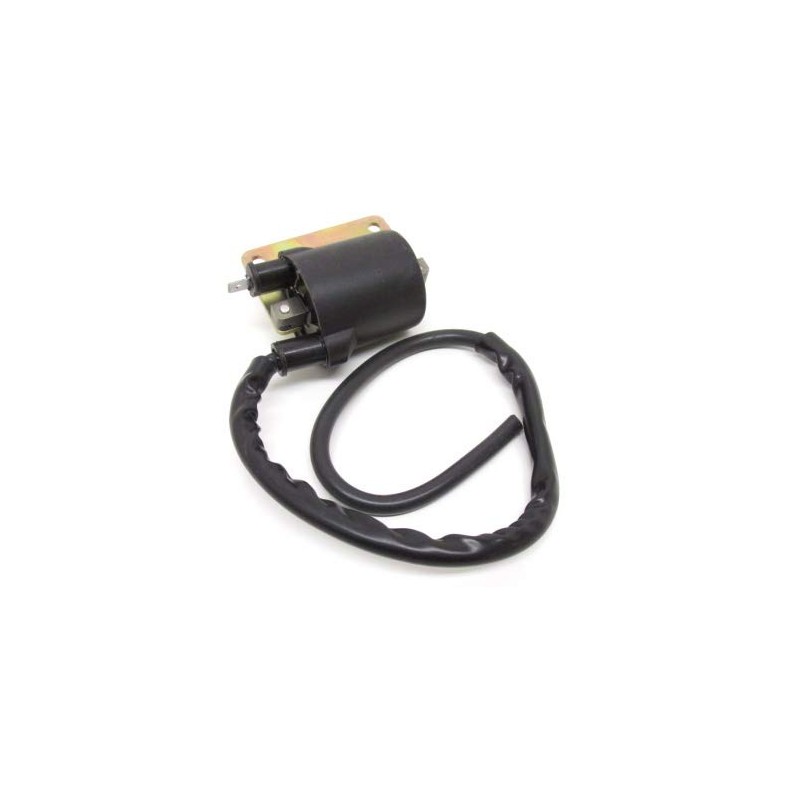 Ignition Coil External External for Piaggio Ciao Sfera TPH/Puch Maxi/Hercules/Kreidler