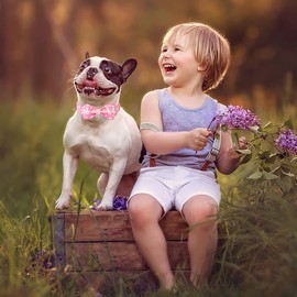 Babole Pet Dog Collars with Bow Tie,Summer Pink Daisy Flower Dog Collar with Safety Metal Buckle Adjustable Puppy Collars for Small Medium Large Dog,Boy&Girl Dog Collar Gift,L-Neck 16"-24"