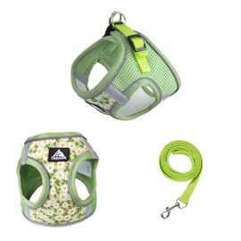 Small Dog Harness Leash Set,Daisy Floral Pattern Pet Harness Vest,Dog Breathable Mesh Adjustable D-Ring Reflective Walking Harness for Cat Puppy Small Medium Dog_XS(Green)