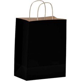 Black Paper Bags with Handles - 100 Pcs 8x4.5x10.5 inches Bulk Gift Bags, Shopping Bags, Party Bags, Favor Bags, Goody Bags, Cub, Business Bags, Kraft Paper Bags, Retail Bags, Merchandise Bags