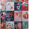 Rapport Home Christmas Advent Calendar Double Reversible Microfibre Duvet Cover