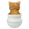 Figuren Shop GmbH Cat in Flower Pot - Orange Tabby