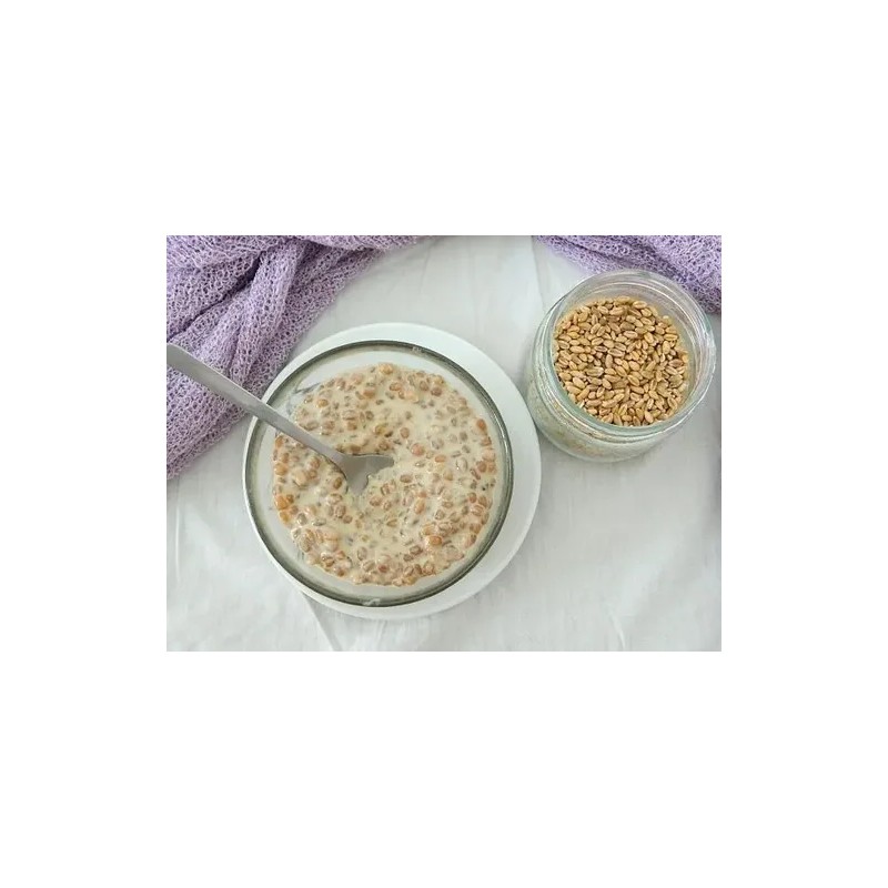 Trigo En Grano Buenahora® 5kg