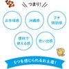 くば笠屋 ミントタブレット ミント缶 清涼菓子 沖縄県NEXT優良県産品 沖縄 お土産 ノベルティ 沖縄限定 OKINAWAミント缶