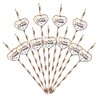 Xumann 20PCS Reusable Plastic Hen Party Accessories Straws Set for
