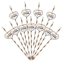 Xumann 20PCS Reusable Plastic Hen Party Accessories Straws Set for Bachelor Party, Birthday Party (Team Bride)