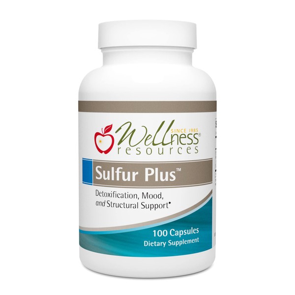 Wellness Resources Sulfur Plus for Hair, Skin, Nails with Biotin 6000 mcg and MSM 1000 mg (100 Capsules)