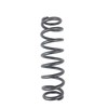 NEW OEM CAN-AM RYKER 2-UP REAR SPRING - BLACK -