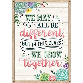 Teacher Created Resources We May All Be Different, but in This Class We Grow Together Positive Poster