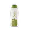 Maria Salome Shampoo Keratin 2 Hair Loss Prevention Prevencion Caida