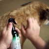 Silver Shield Dog & Bedding Spray | All Natural Colloidal
