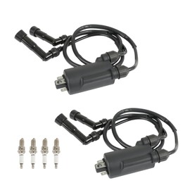 TJHSM 30500-422-003 30500-422-013 30510-MA6-013 Ignition Coil Spark Plug with Cap Replacement for CB650 CB650C CB650SC CB750K CB750L CB750C CB750F CB750SC CB900C CB900F