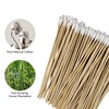 200 Pcs 6 Inch Long Bamboo Cotton Swabs with Wooden
