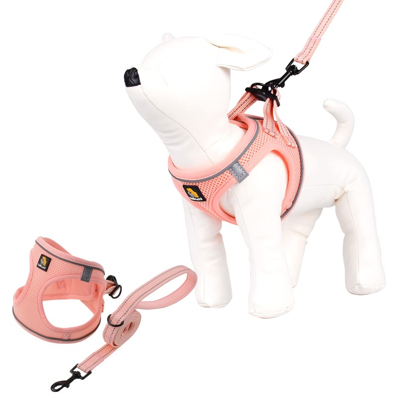 Bella & Pal Dog Harness, Leash Set, for Cats, Small