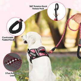 Service Dog Vest Harness and Leash Set, Animire in Training Dog Harness with 10 Dog Patches, Reflective Dog Leash with Soft Padded Handle for Small, Medium, Large, and Extra-Large Dogs (Rosy,L)