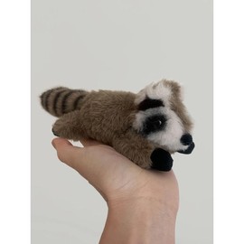 Raymond The Raccoon