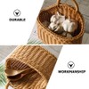 Healvian Hanging Basket for Kitchen Ginger and Garlic Organizer Woven