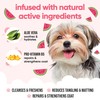 Watermelon Dog Shampoo by Buddycare | Deep Cleansing Shampoo for