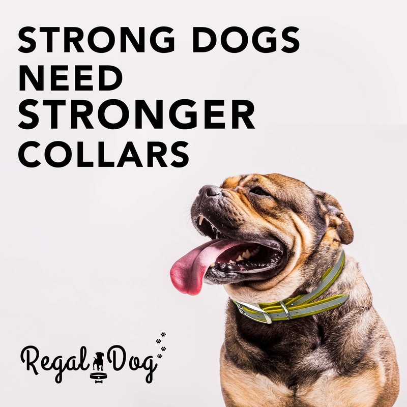 Regal Dog Products Small Yellow Heavy Duty Reflective Dog Collar