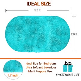 Noahas Ultra Soft Fluffy Bedroom Rugs Kids Room Carpet Modern Shaggy Area Rugs Home Decor 2.6' X 5.3', Teal Blue