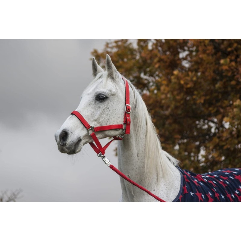 Start Economic Lined Halter for Horses Thoroughbred, Pony - Stable