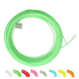 Maimumcatch Fly Fishing Line, Floating Fly Line & Fly Line Combo with Backing Leader and Tippet (1F/2F/3F/4F/5F/6F/7F/8F/9F/10F) (Light Green with Loops, WF1F)