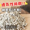 Leap Raupe Large Granule Pumice for Gardening, 1L Bottom Stone