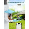 Osoeri Bird Feeder with Camera - Solar Smart Bird Feeder