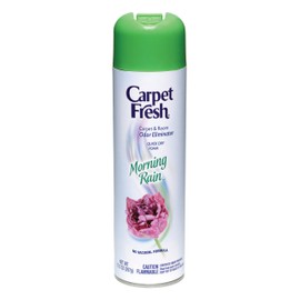 Carpet Fresh Quick-Dry Foam, Morning Rain, 10.5 OZ Morning Rain 10.5 Ounce (Pack of 1)