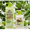 Milk Baobab Body Wash Lime & Basil, 1L, 1 piece