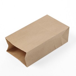 Plain Kraft Paper Bag 100-piece Set (15x28cm)