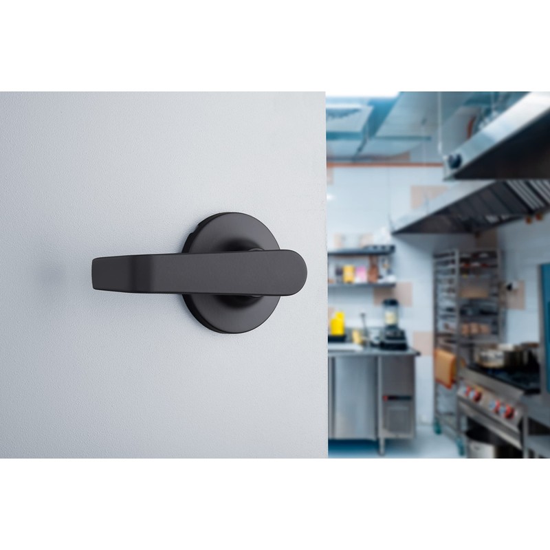 BRINKS Commercial - Light Duty Passage Door Lever, Matte Black