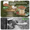RichBird Window Bird Feeder for Outdoors, Clear Bird Feeders Window