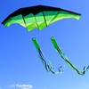 TianYueFly Huge 3D Adult Gliders Kite, 120" in Giant Single