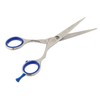 Kiepe Studio Style Formula Scissors 51/2"